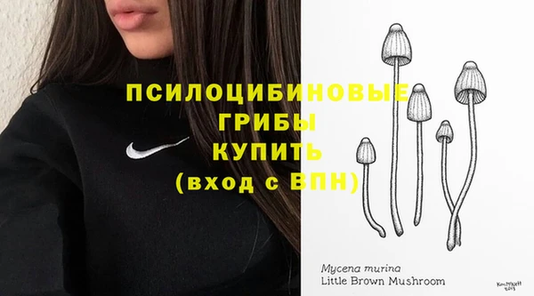 МДПВ Верхнеуральск