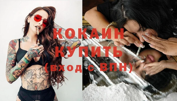 mix Верея