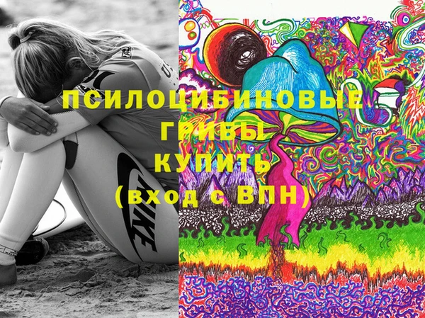 герыч Верхний Тагил