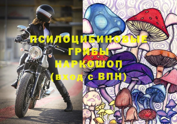 герыч Верхний Тагил