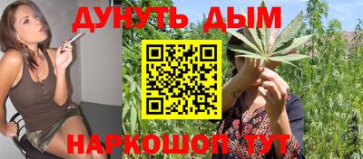 гидра Тверь