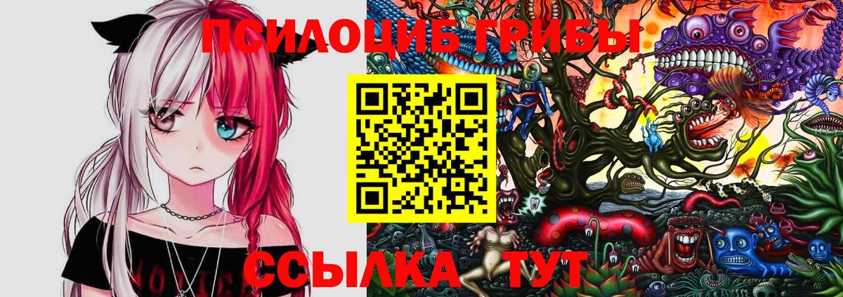 Псилоцибиновые грибы мухоморы  сколько стоит  Можайск  Вход с VPN 